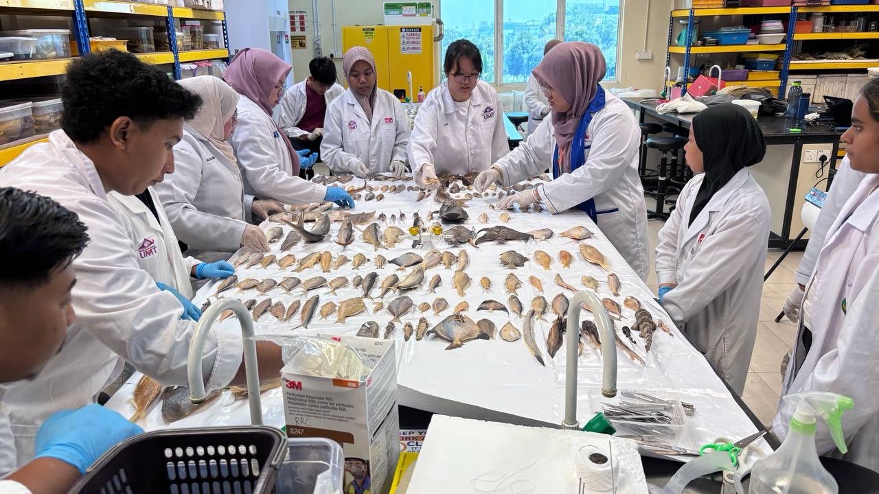 Node Spotlight: OBIS Malaysia, centralizing marine biodiversity data through RRC-UMT