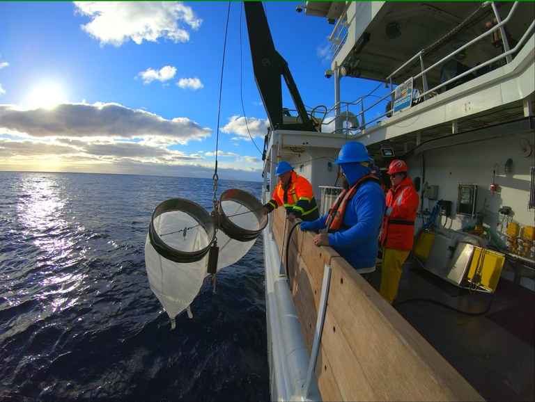 Standardized and FAIR: unleashing nearly 75 years of fish larvae and egg records