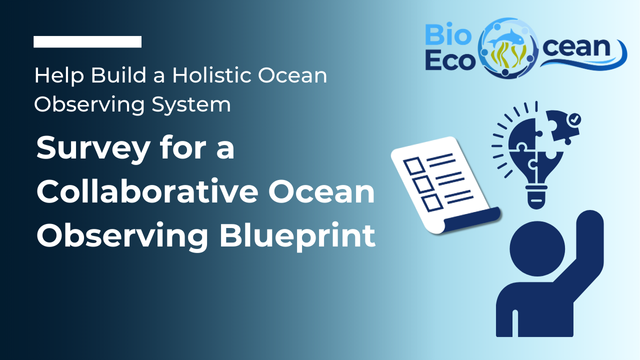 Help Build a Holistic Ocean Observing System: Survey for a Collaborative Ocean Observing Blueprint