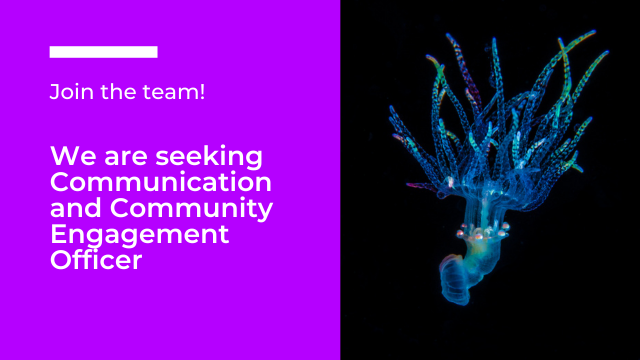 OBIS is seeking a Communication and Community Engagement Officer