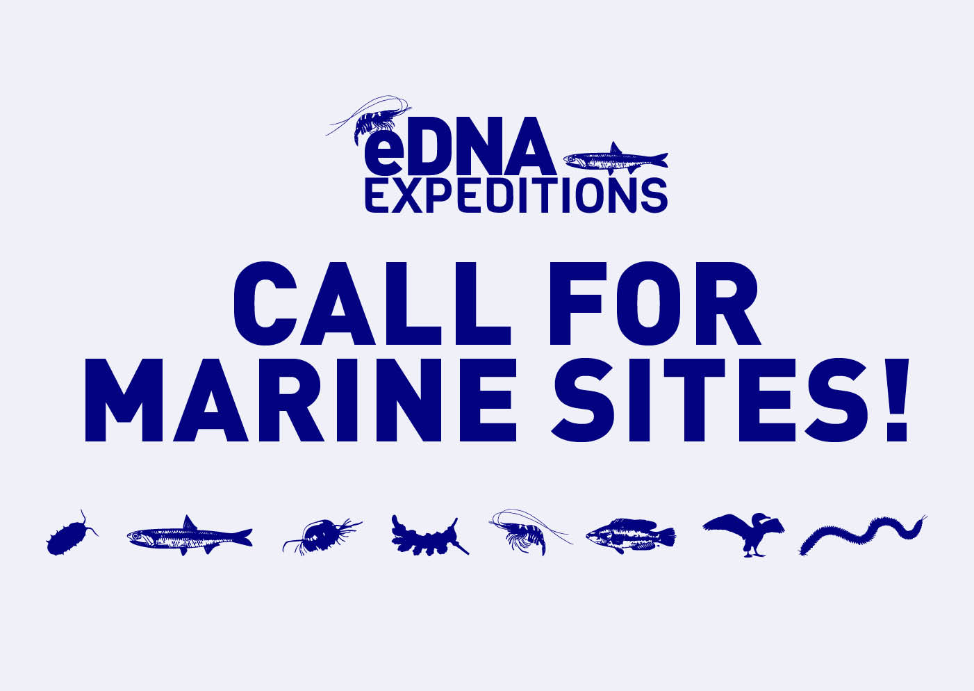 Open call for marine sites to join the second phase of eDNA Expeditions