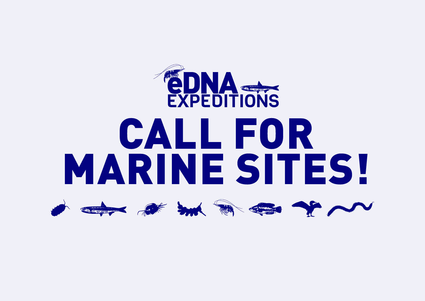 Open call for marine sites to join the second phase of eDNA Expeditions