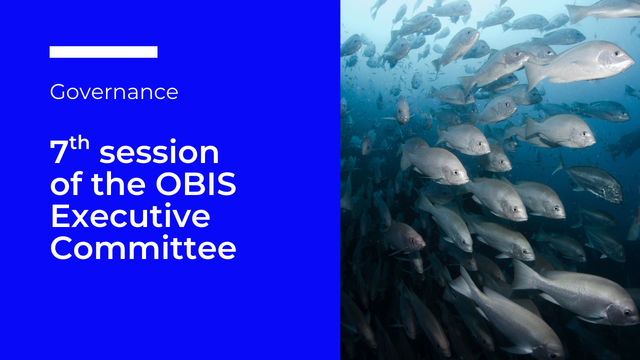 7th session of the OBIS Executive Committee