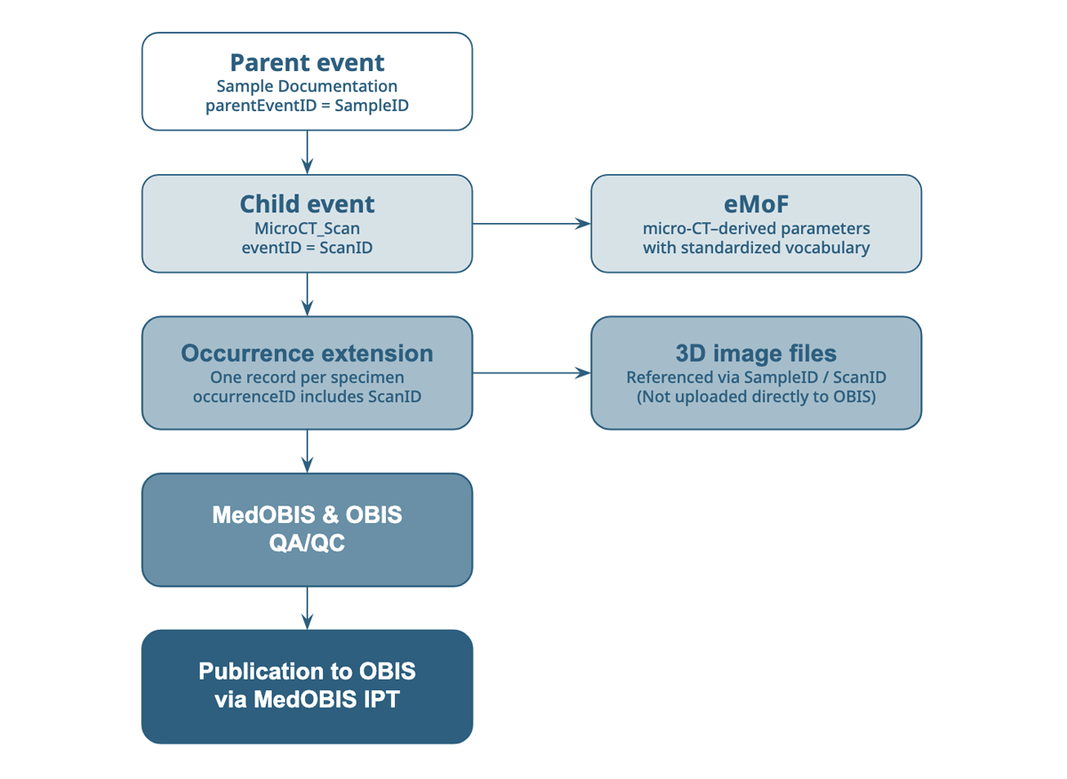 Overview of the event hierarchy through the publishing process.