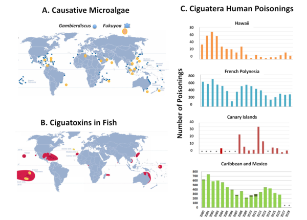 An unprecedented analysis of Harmful Algal Bloom (HAB) events worldwide launched by UNESCO's IOC