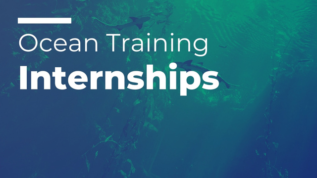 2024 Ocean Training Internships available with OBIS-Australia and OBIS Deep-Sea - Applications open