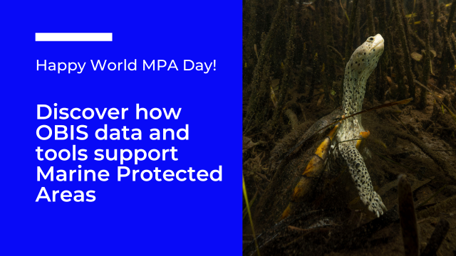 How OBIS Data and Model-Based Tools Can Support Marine Protected Areas