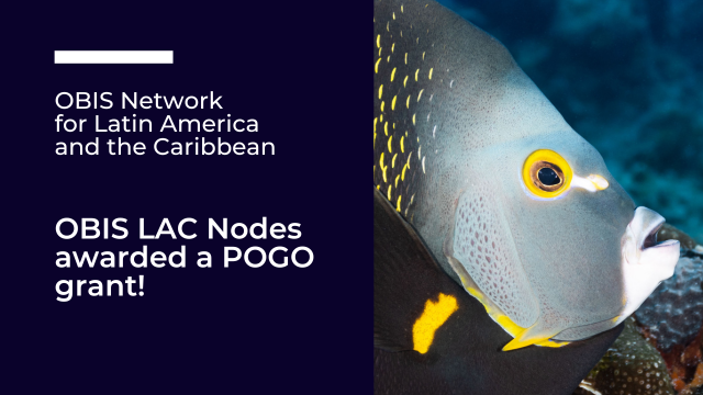 OBIS-LAC awarded a POGO Working Group Grant