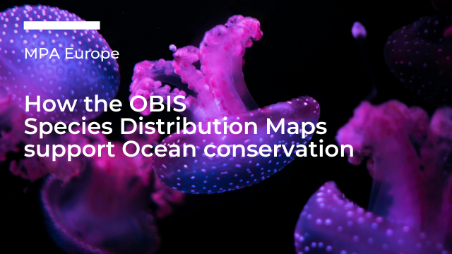 Mapping marine biodiversity - How the OBIS Species Distribution Maps support Ocean conservation