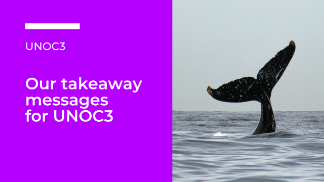 OBIS takeaway messages for UNOC3