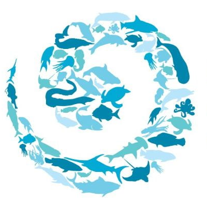 Call for abstracts to OBIS Session at the 5th World Conference on Marine Biodiversity, 13-16 December 2020, Auckland, New Zealand